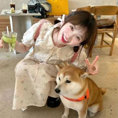 旧金山风物记